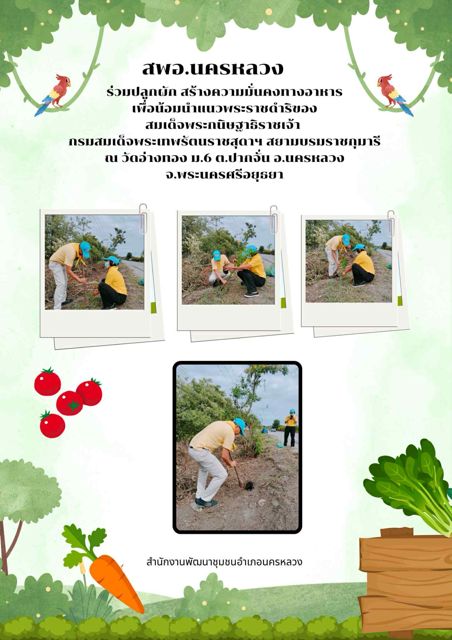 สพอ.นครหลวง ร่วมกิจกรรมโครงการปลูกผักสวนครัว เพื่อความมั่นคงทางอาหาร